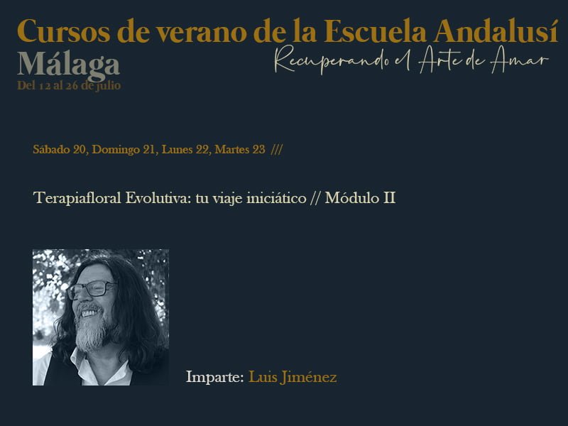 luisbanner