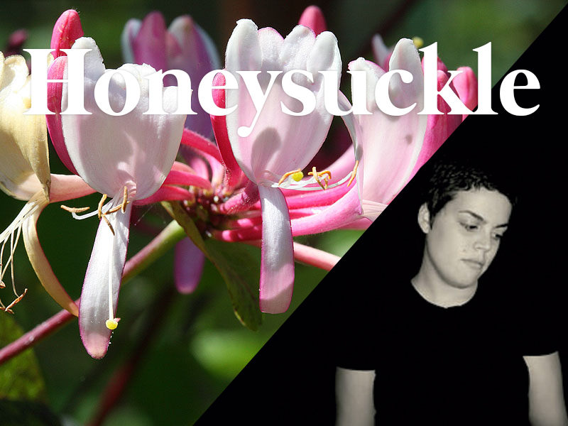 honey suckle flores de bach terapia floral evolutiva luis jimenez